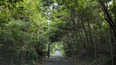 はるばる眼鏡を作りに
