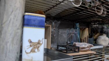 大掃除の収穫