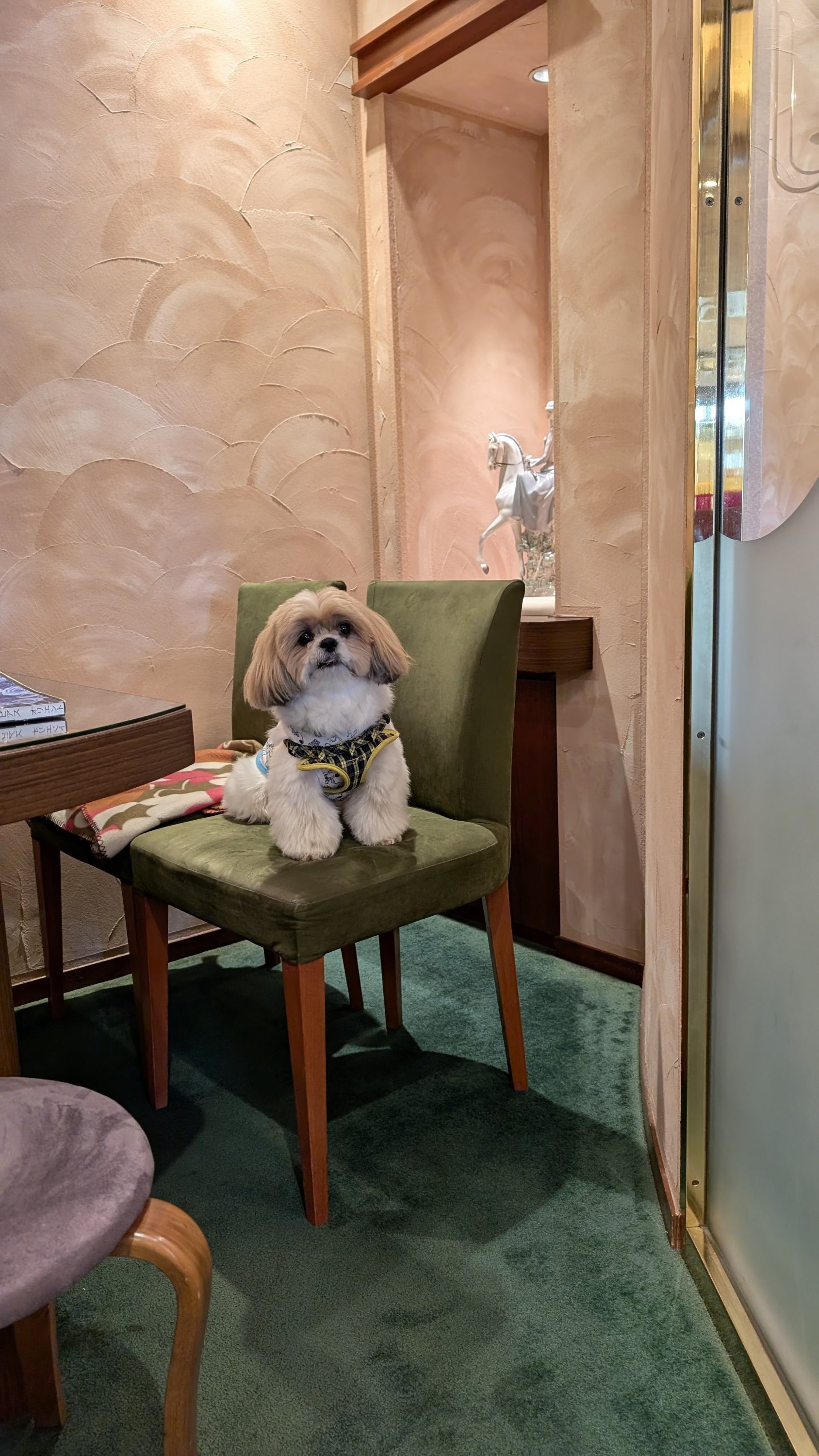 ブログ最新画像