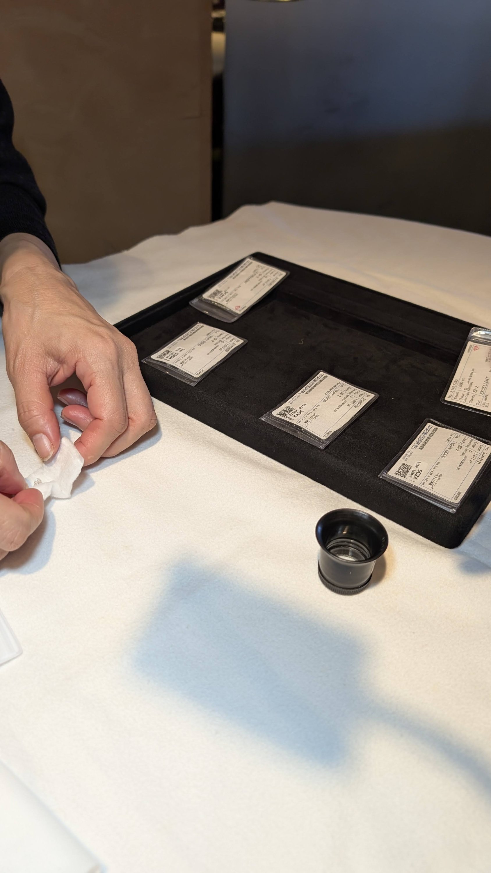 ブログ最新画像