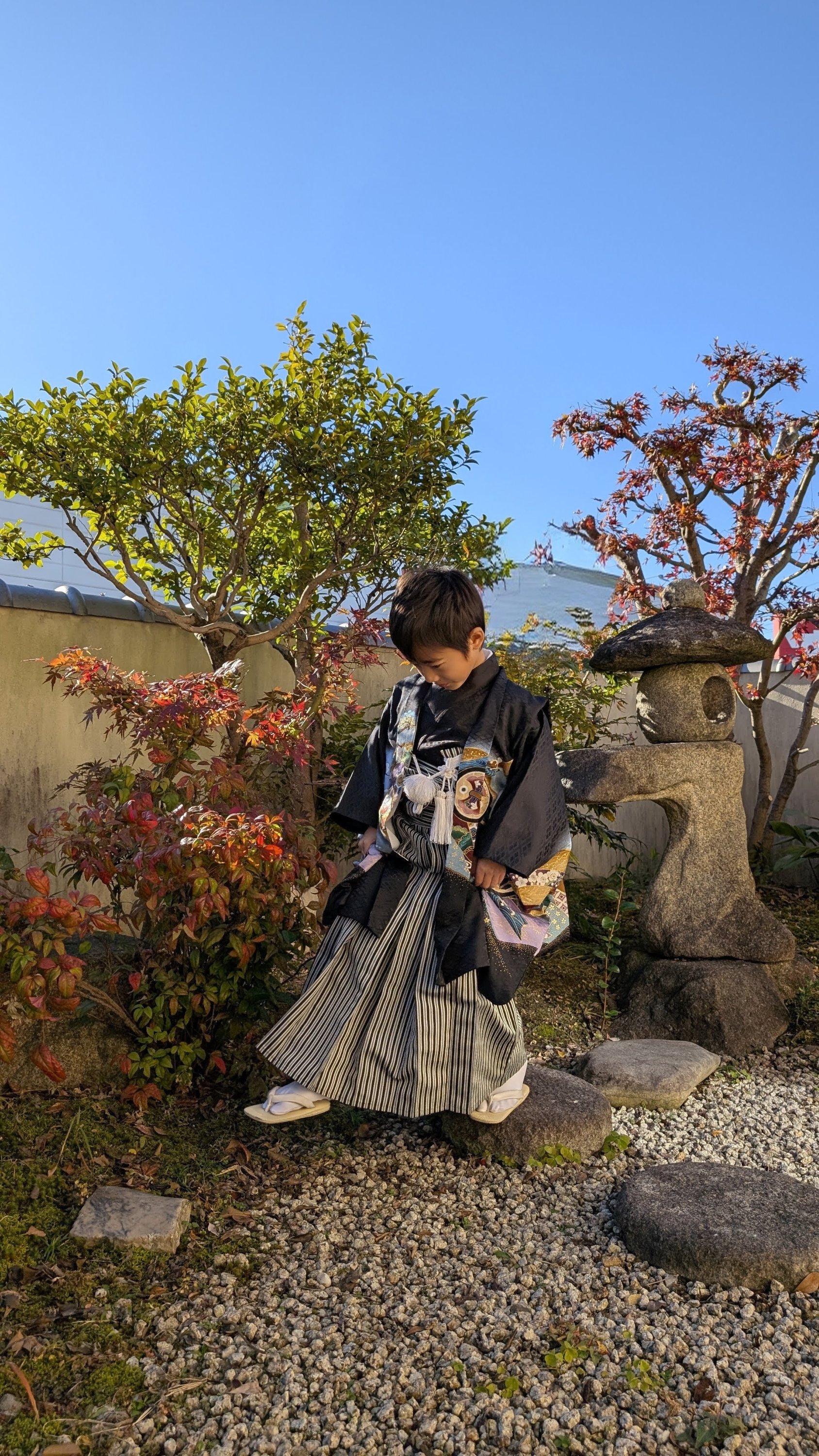 ブログ最新画像