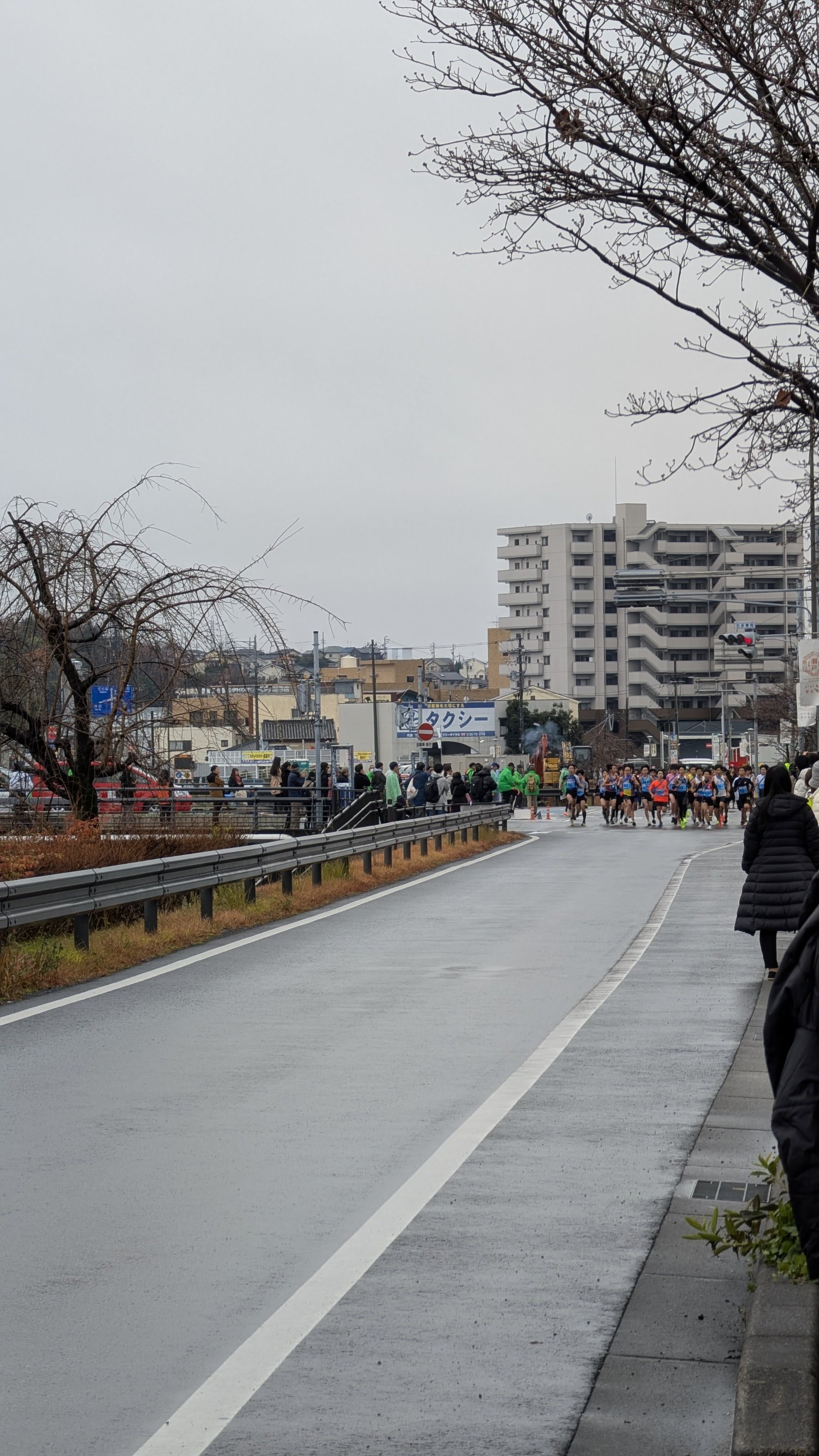 ブログ最新画像