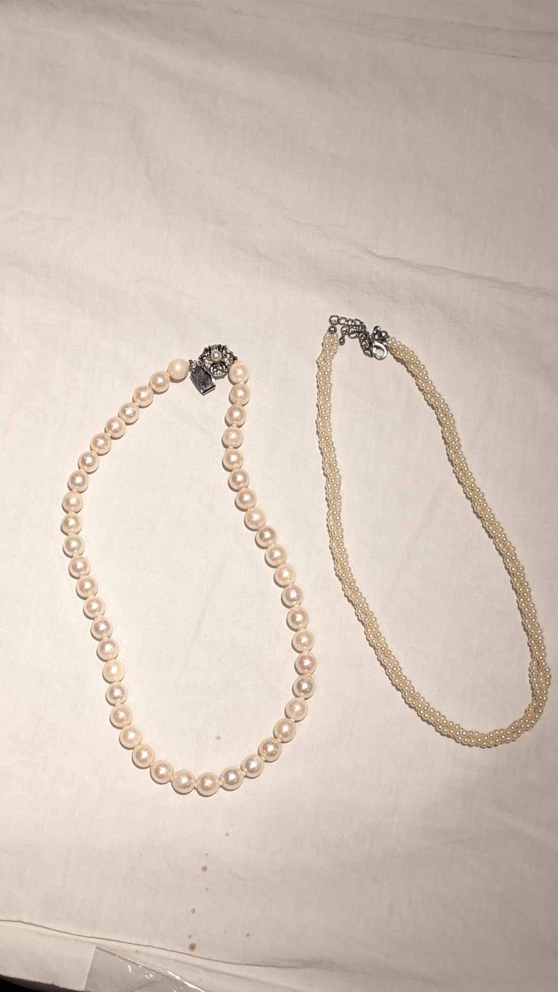 ブログ最新画像