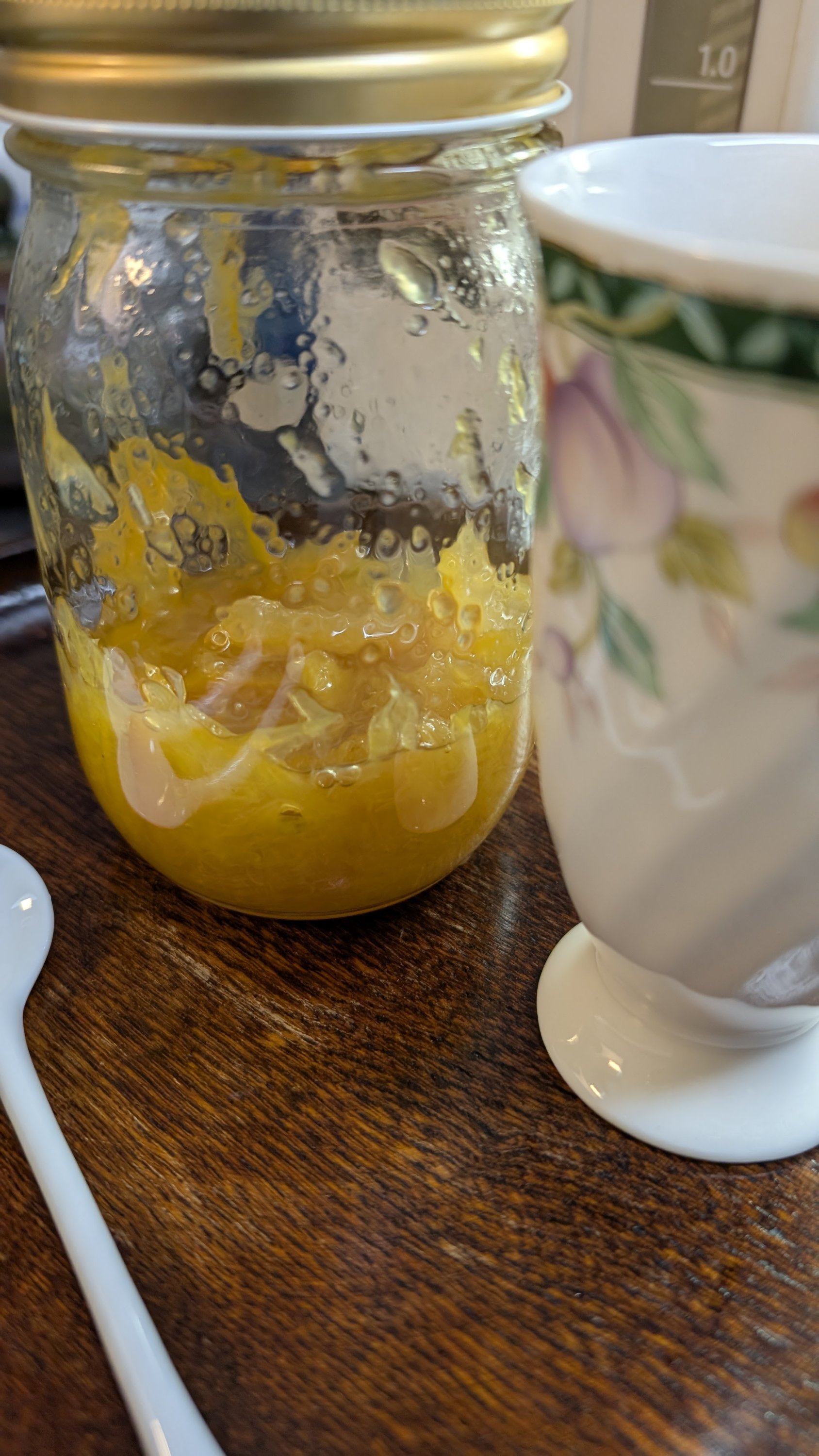 ブログ最新画像