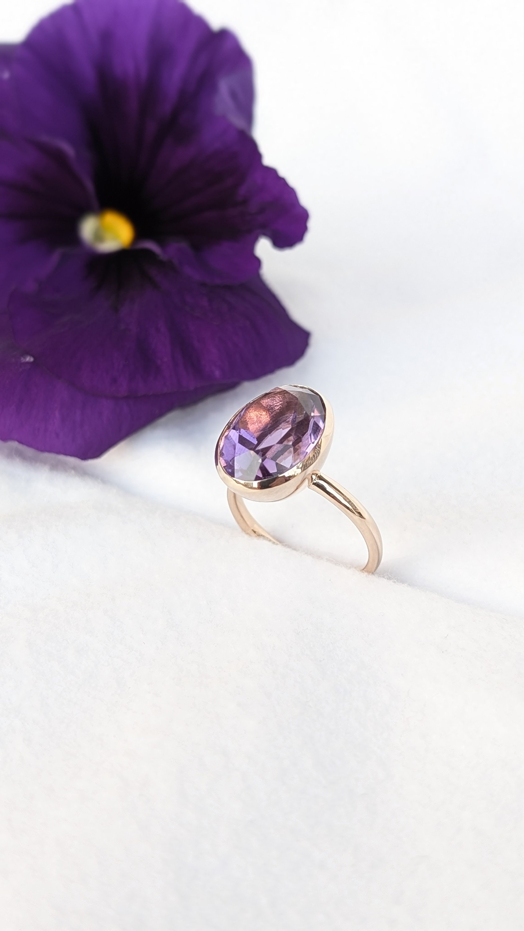 ブログ最新画像