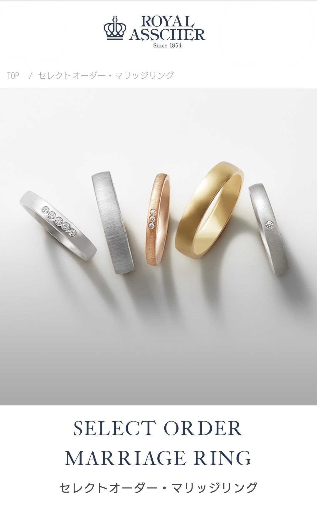 ブログ最新画像