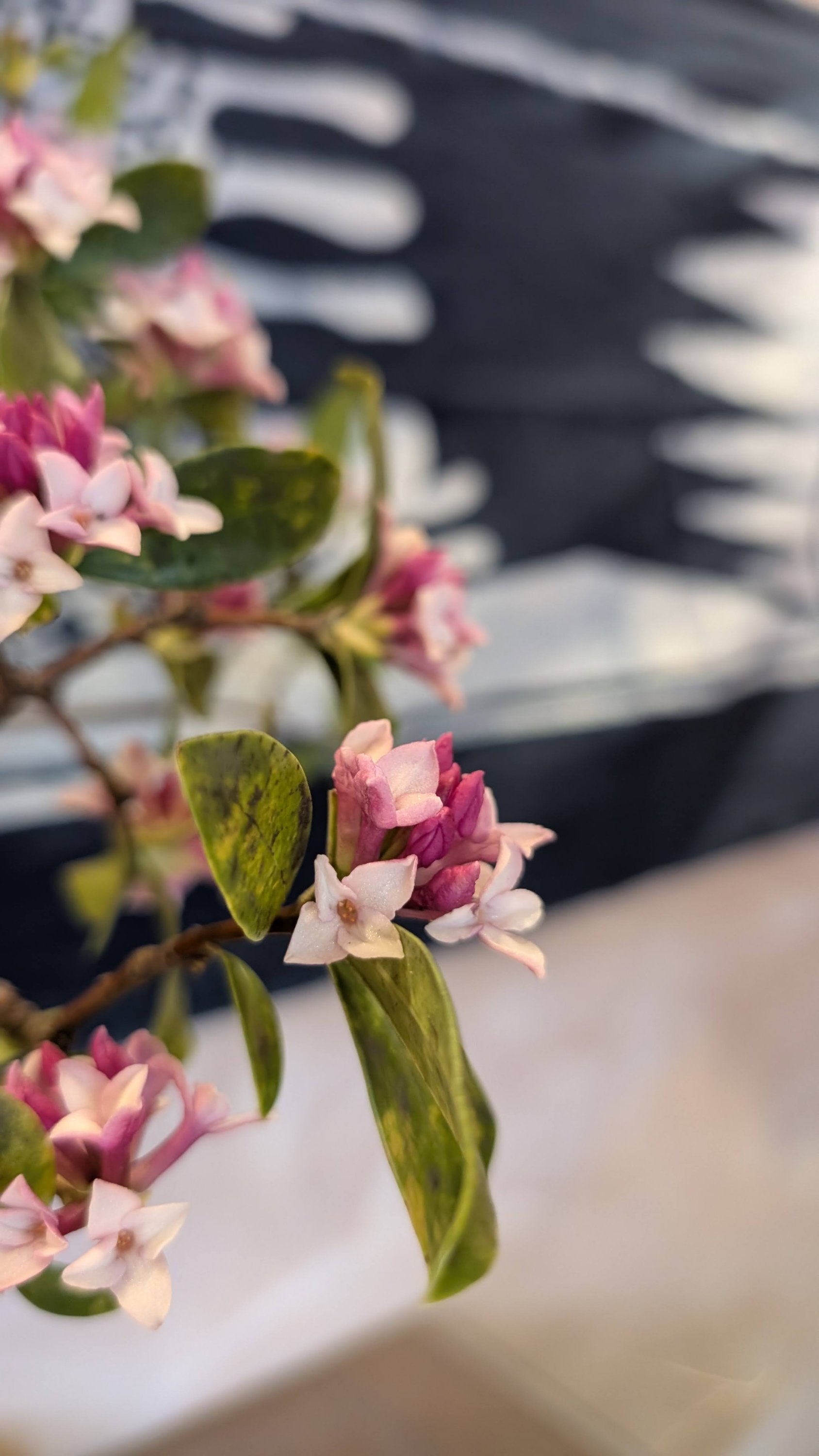 ブログ最新画像